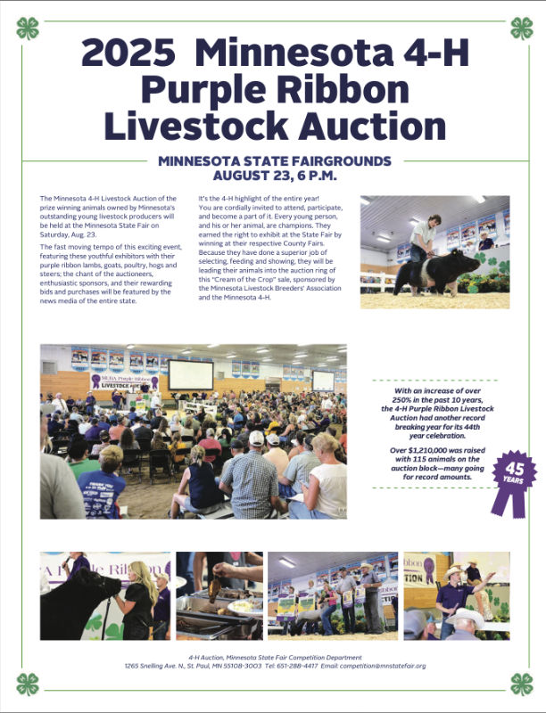 2025 4H Auction Brochure