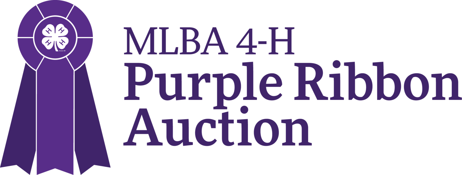Minnesota Purple Ribbon Auction Logo